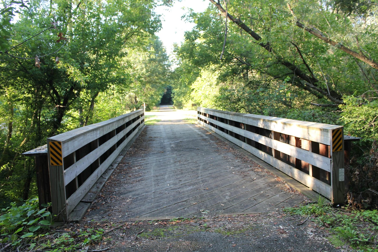 Looking north